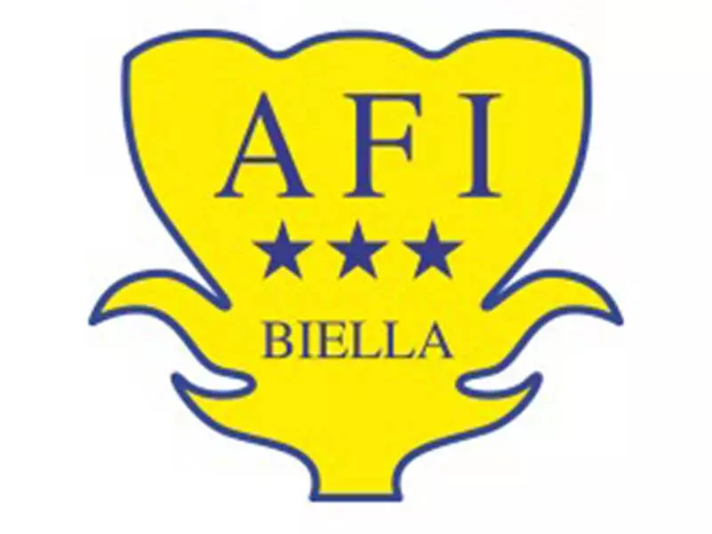 b.f. srl electric service group referenze logo art from italy biella