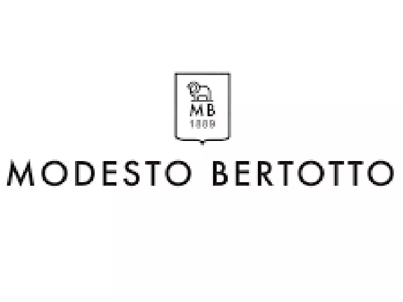 b.f. srl electric service group referenze logo modesto bertotto