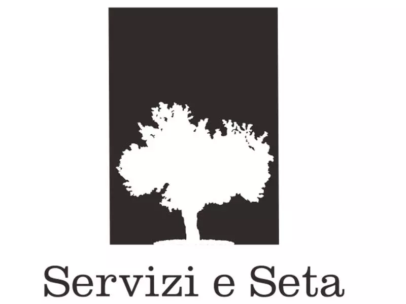 b.f. srl electric service group referenze logo servizi & seta srl