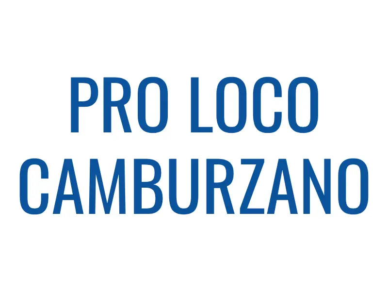 b.f. srl electric service group referenze logo pro loco camburzano